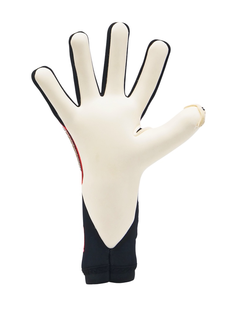 Imagen Toride Edicion Limitada 3.jpg